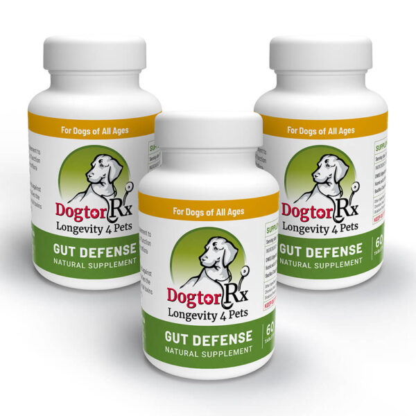 DogtorRx™ Gut Defense 3-Pack