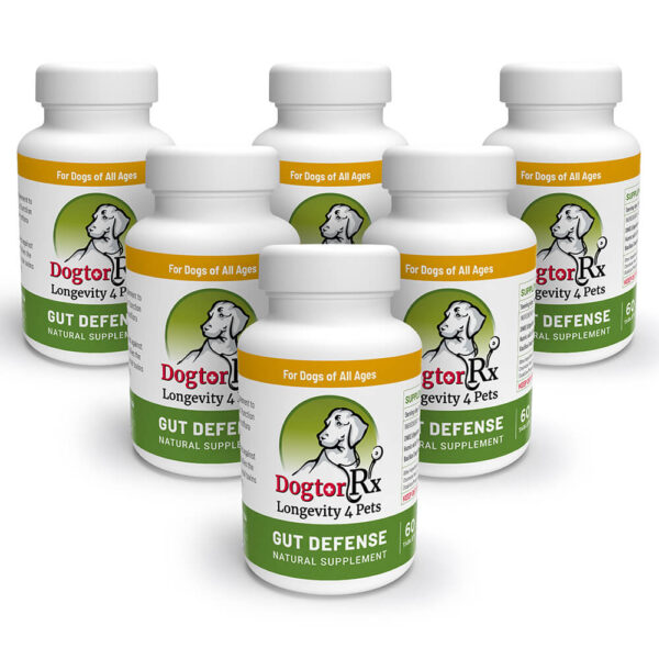DogtorRx™ Gut Defense 6-Pack